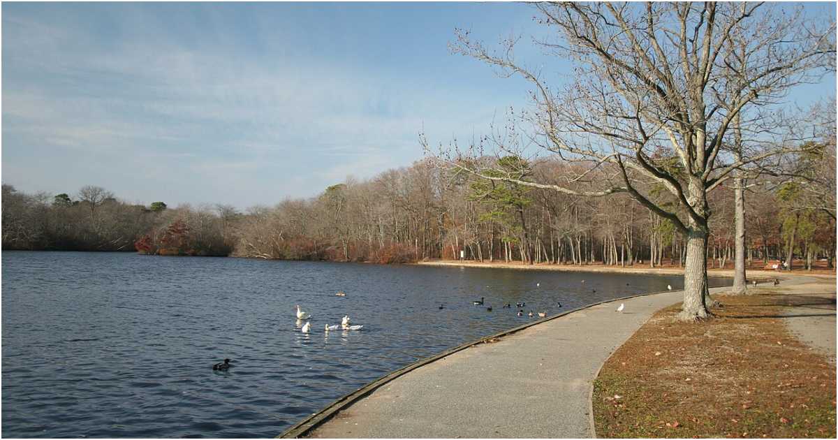 বেলমন্ট লেক স্টেইট পার্ক এলাকা। ছবি: উইকিমিডিয়া কমন্স